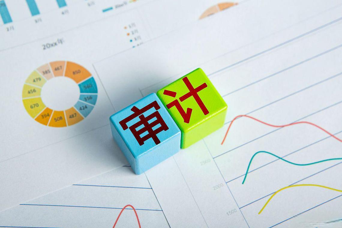 专项资金审计项目